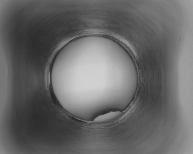 X0000102291365200807250952