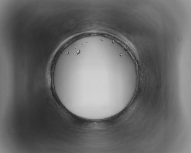 X0000102291368200807250952