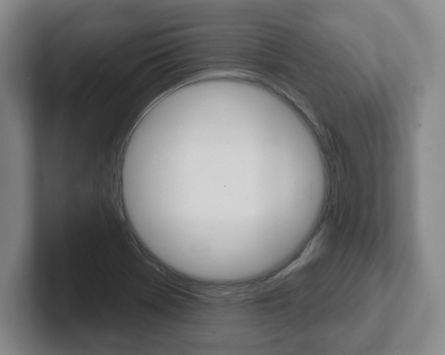 X0000102291369200807250952