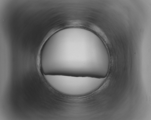 X0000102291370200807250952