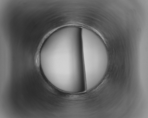 X0000102291371200807250952