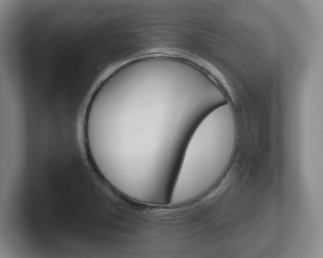 X0000102291373200807250952