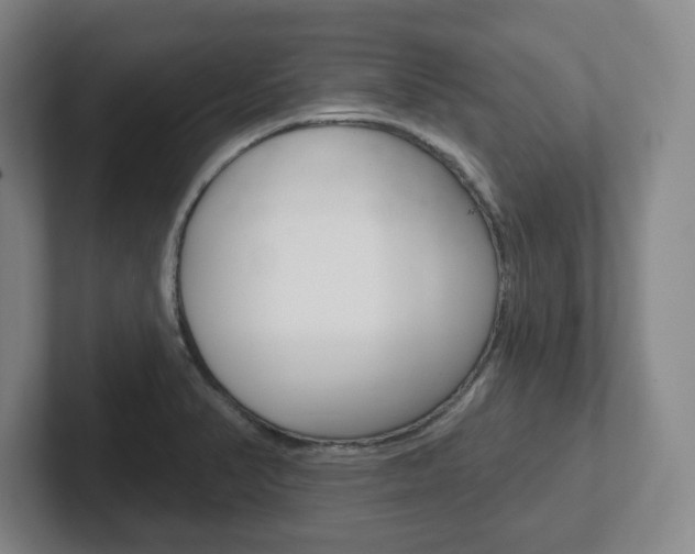 X0000102291374200807250952