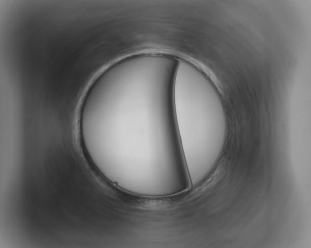X0000102291375200807250952