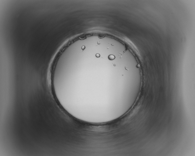 X0000102291376200807250952