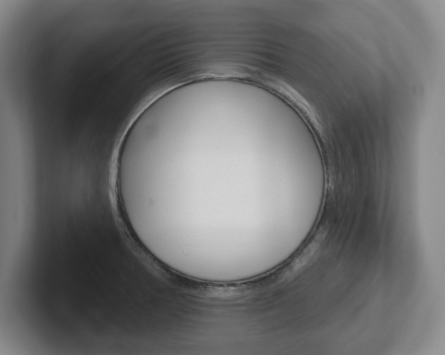 X0000102291378200807250952
