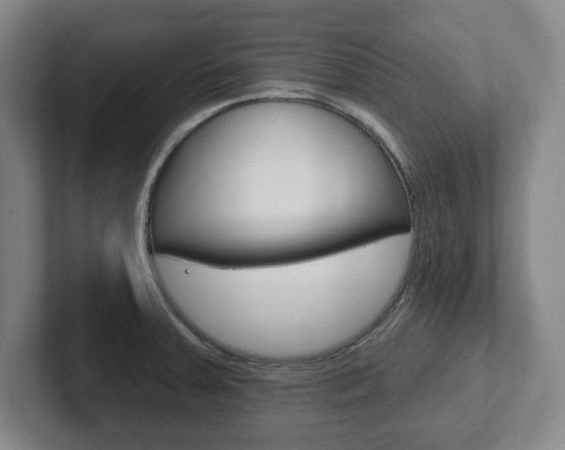X0000102291379200807250952