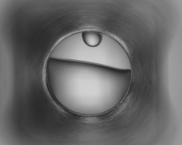 X0000102291383200807250952