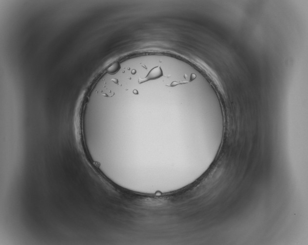 X0000102291384200807250952