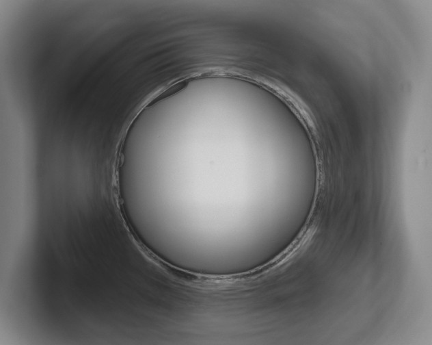 X0000102291385200807250952