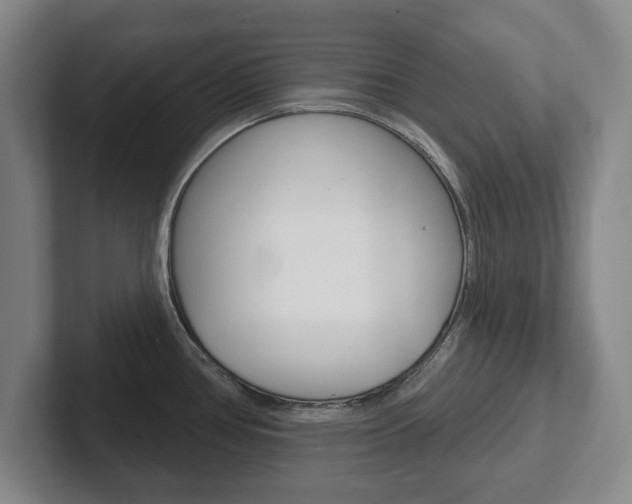 X0000102291386200807250952