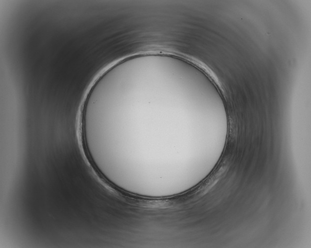 X0000102291387200807250952