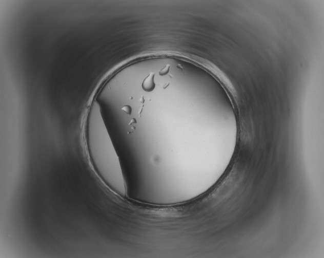 X0000102291388200807250952
