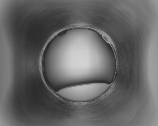 X0000102291389200807250952