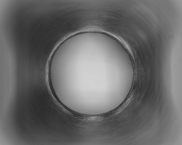 X0000102291390200807250952