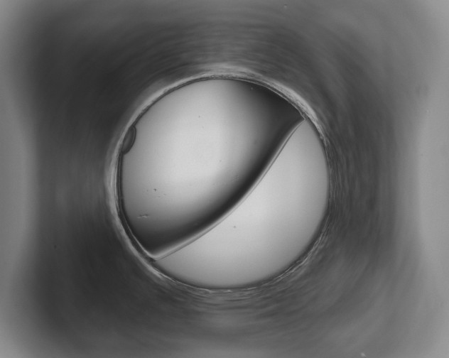 X0000102291391200807250952