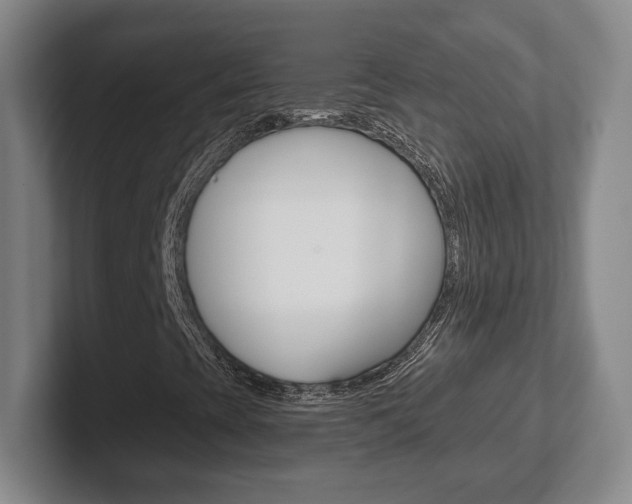 X0000102291393200807250951