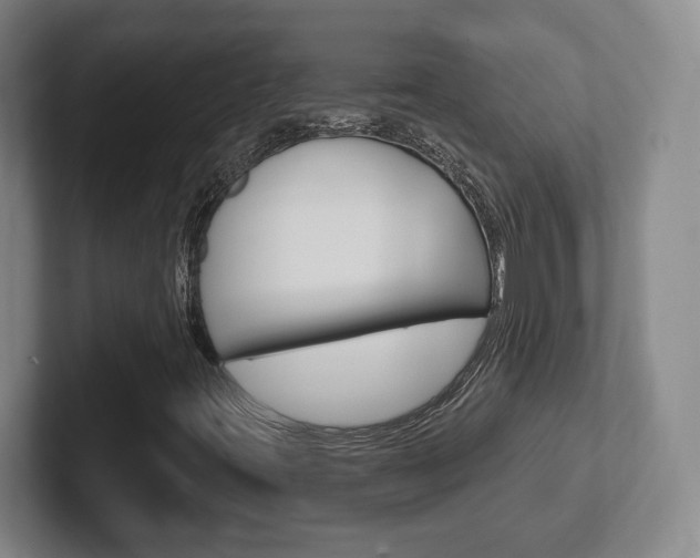 X0000102291395200807250951