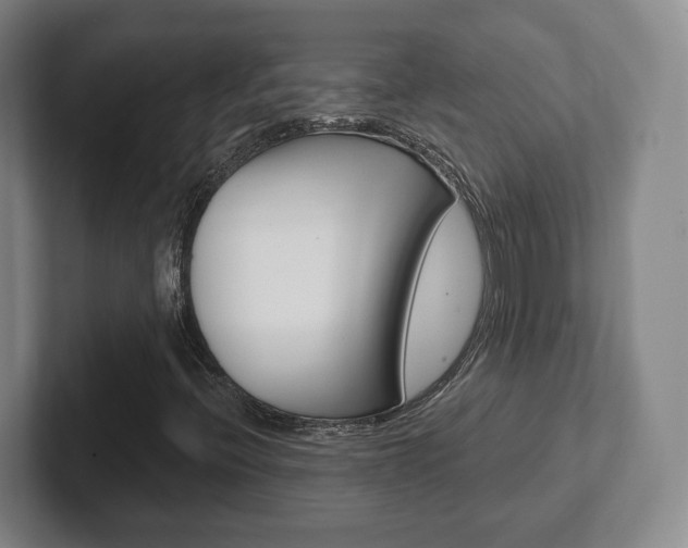 X0000102291396200807250951