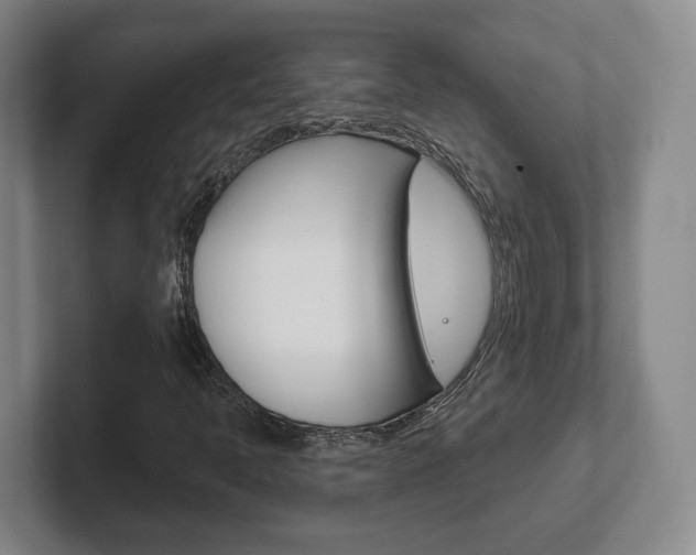 X0000102291397200807250952