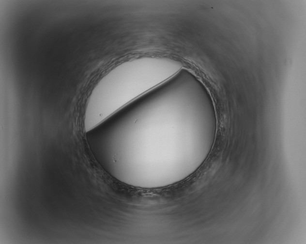 X0000102291398200807250952