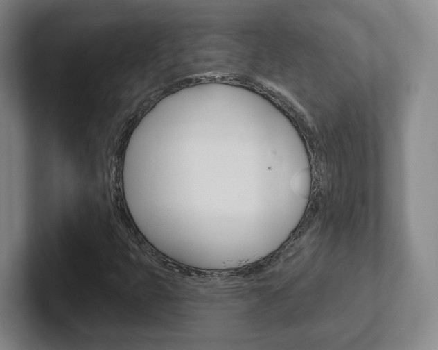 X0000102291399200807250952