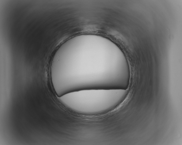 X0000102291401200807250952