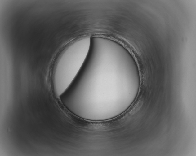 X0000102291402200807250952
