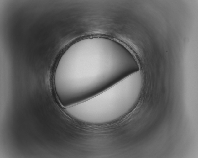 X0000102291404200807250952