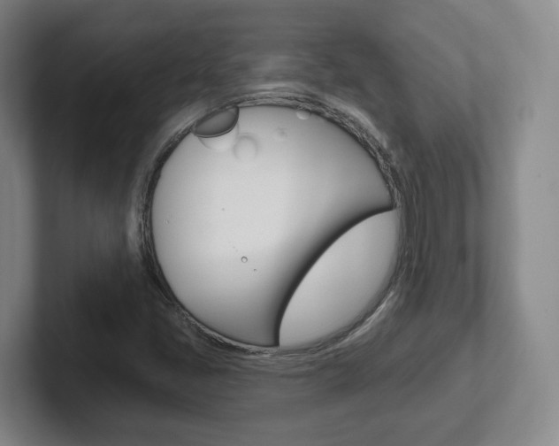 X0000102291405200807250952