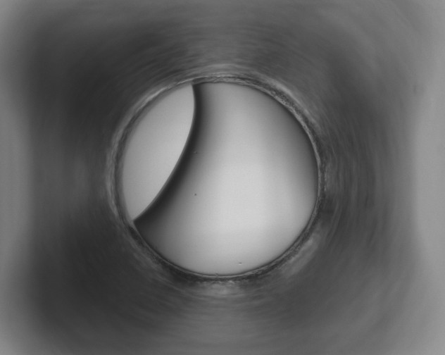 X0000102291410200807250952