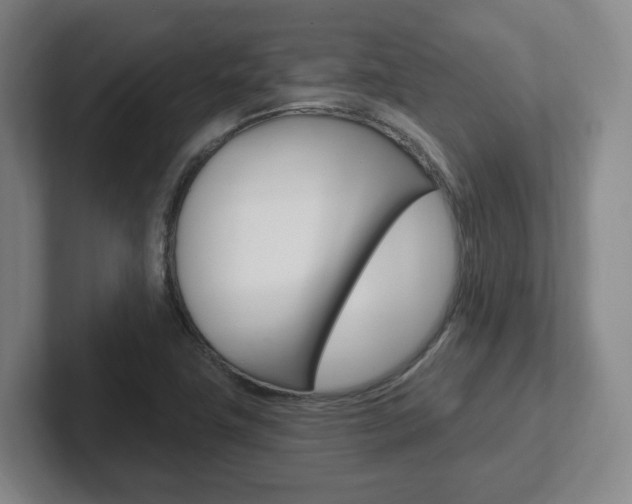 X0000102291411200807250952