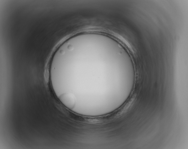 X0000102291413200807250952