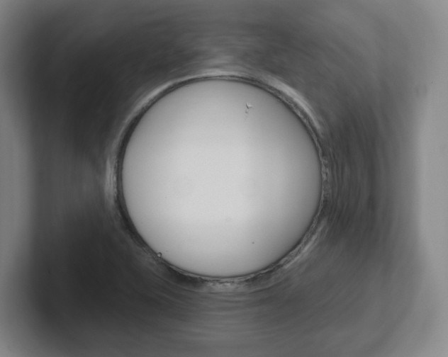 X0000102291415200807250952