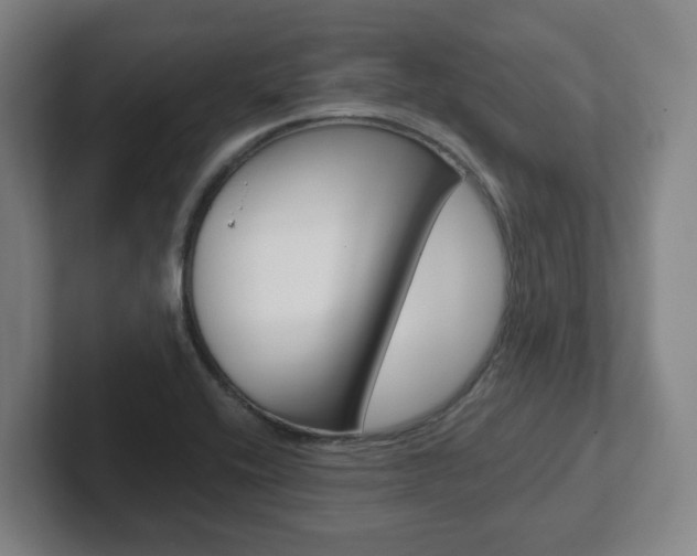 X0000102291416200807250952