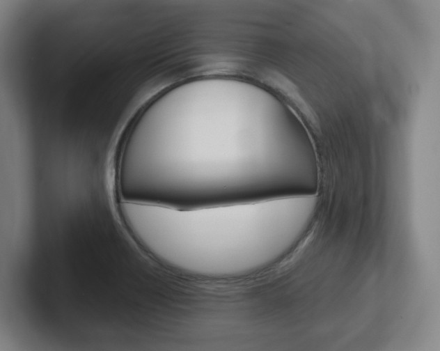 X0000102291418200807250952