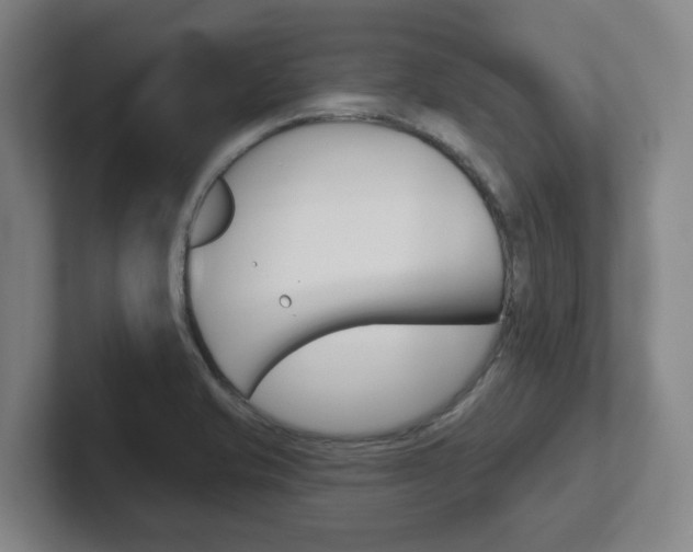 X0000102291421200807250952