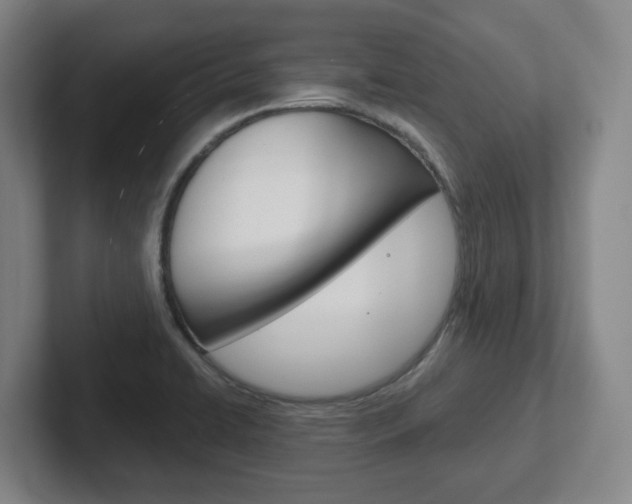 X0000102291422200807250952