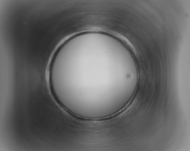 X0000102291424200807250952