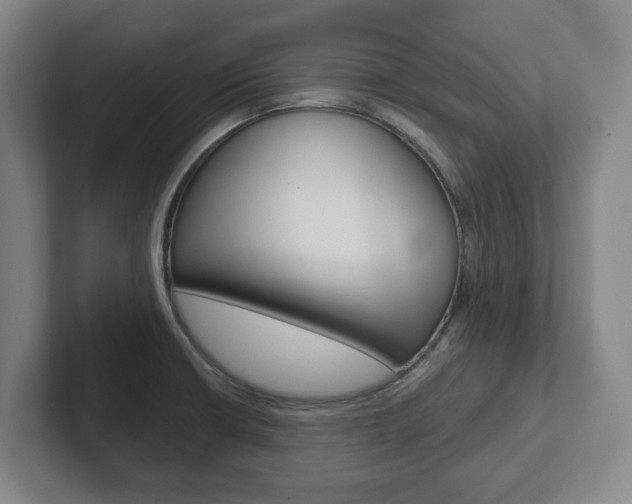 X0000102291426200807250952