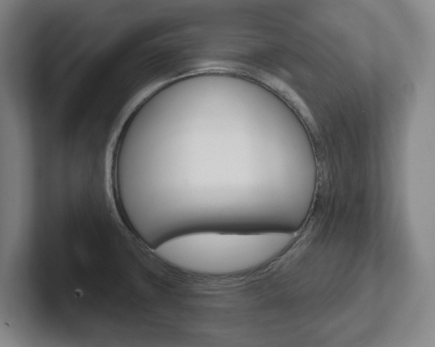 X0000102291427200807250952