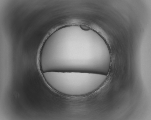 X0000102291429200807250952