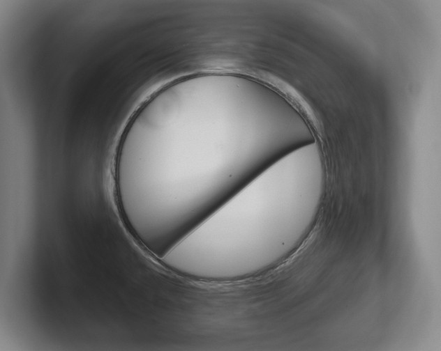 X0000102291432200807250952