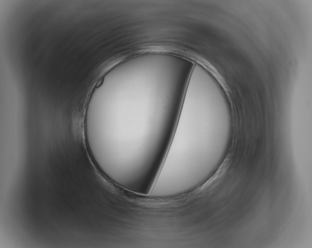 X0000102291433200807250952