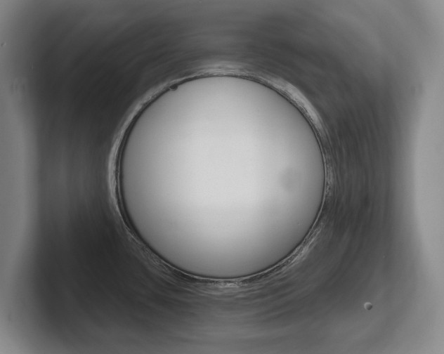 X0000102291435200807250952