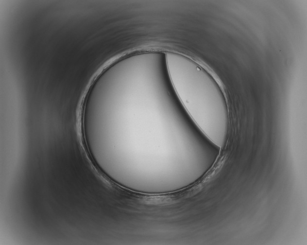 X0000102291437200807250952
