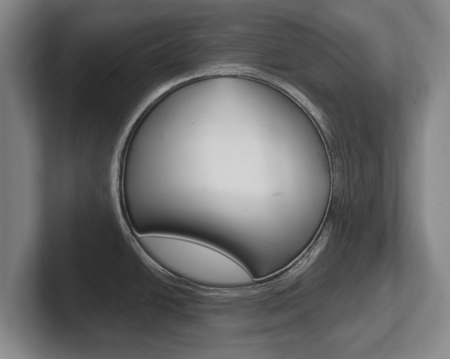 X0000102291438200807250952