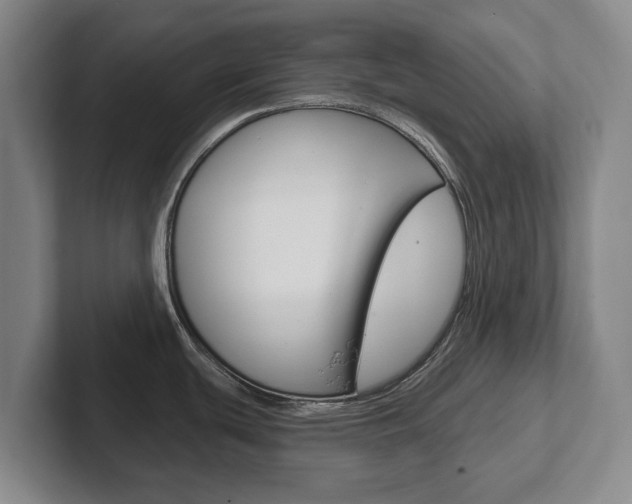 X0000102291439200807250952