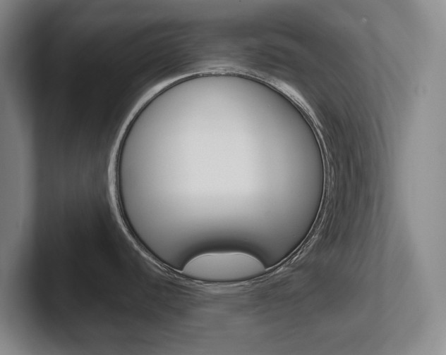 X0000102291440200807250952