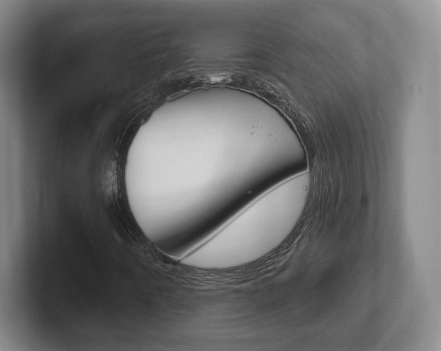 X0000102291442200807250951